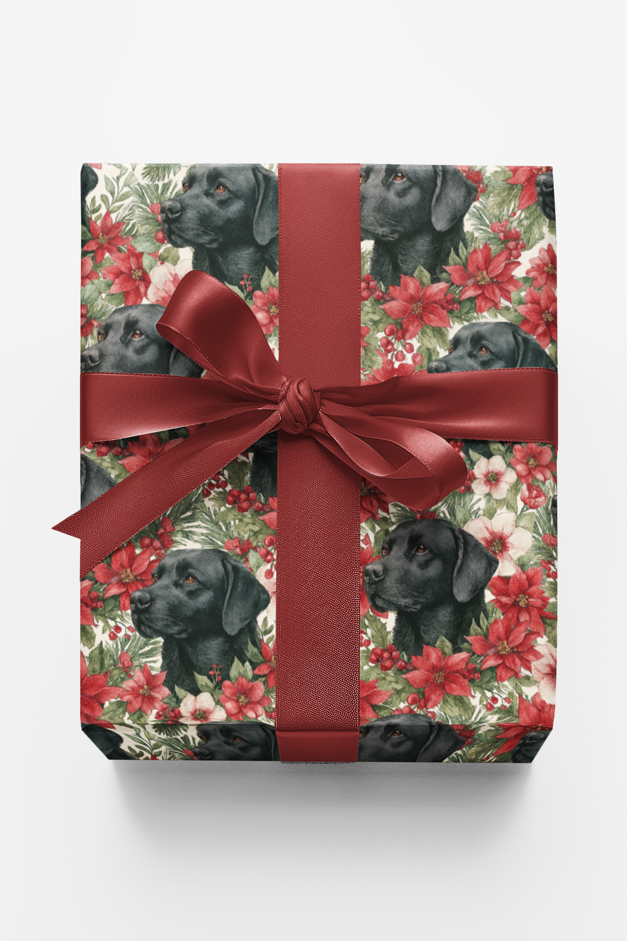 The Mistletoe Watcher