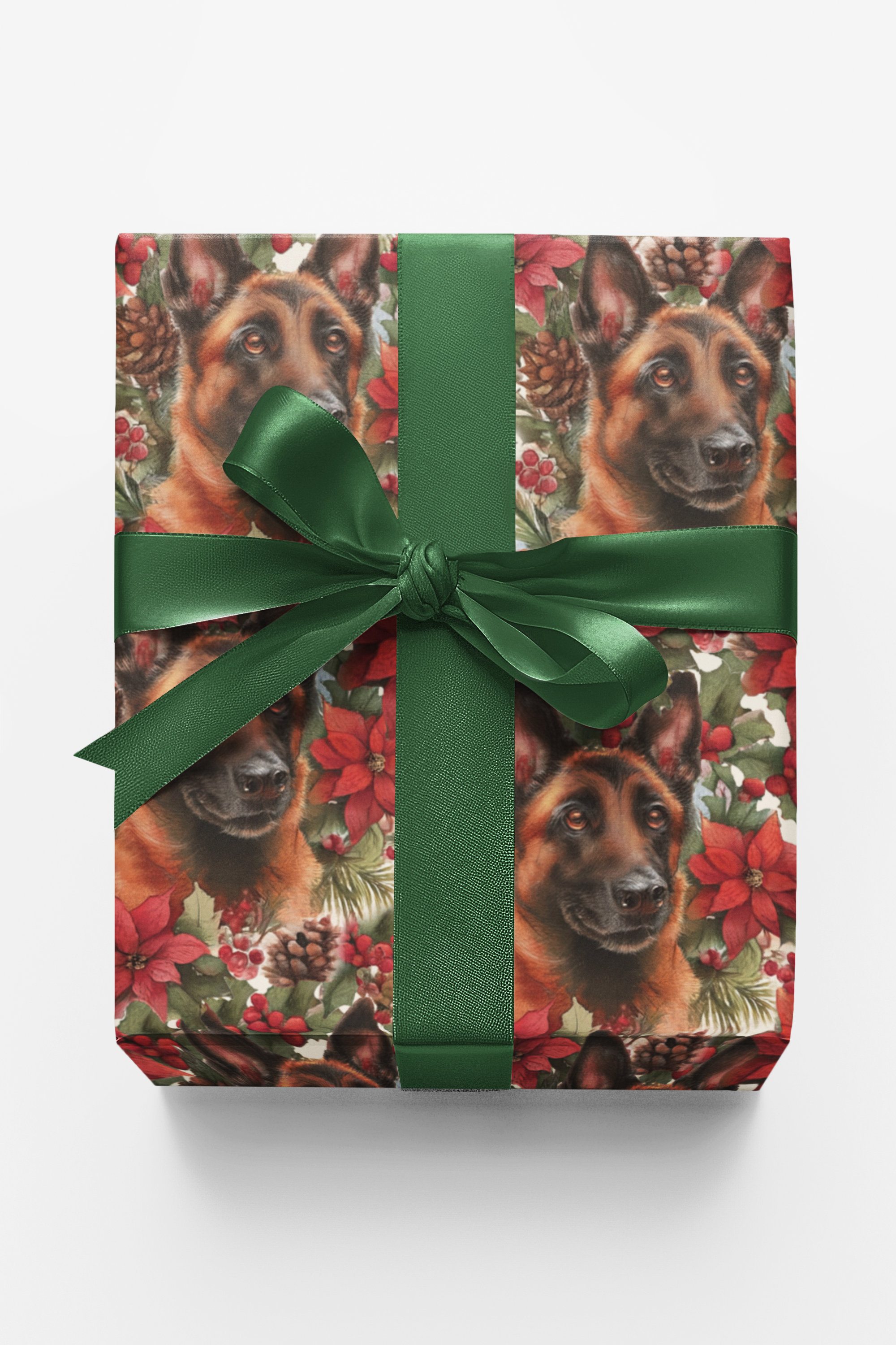 Ember Eyes, Winter Watch