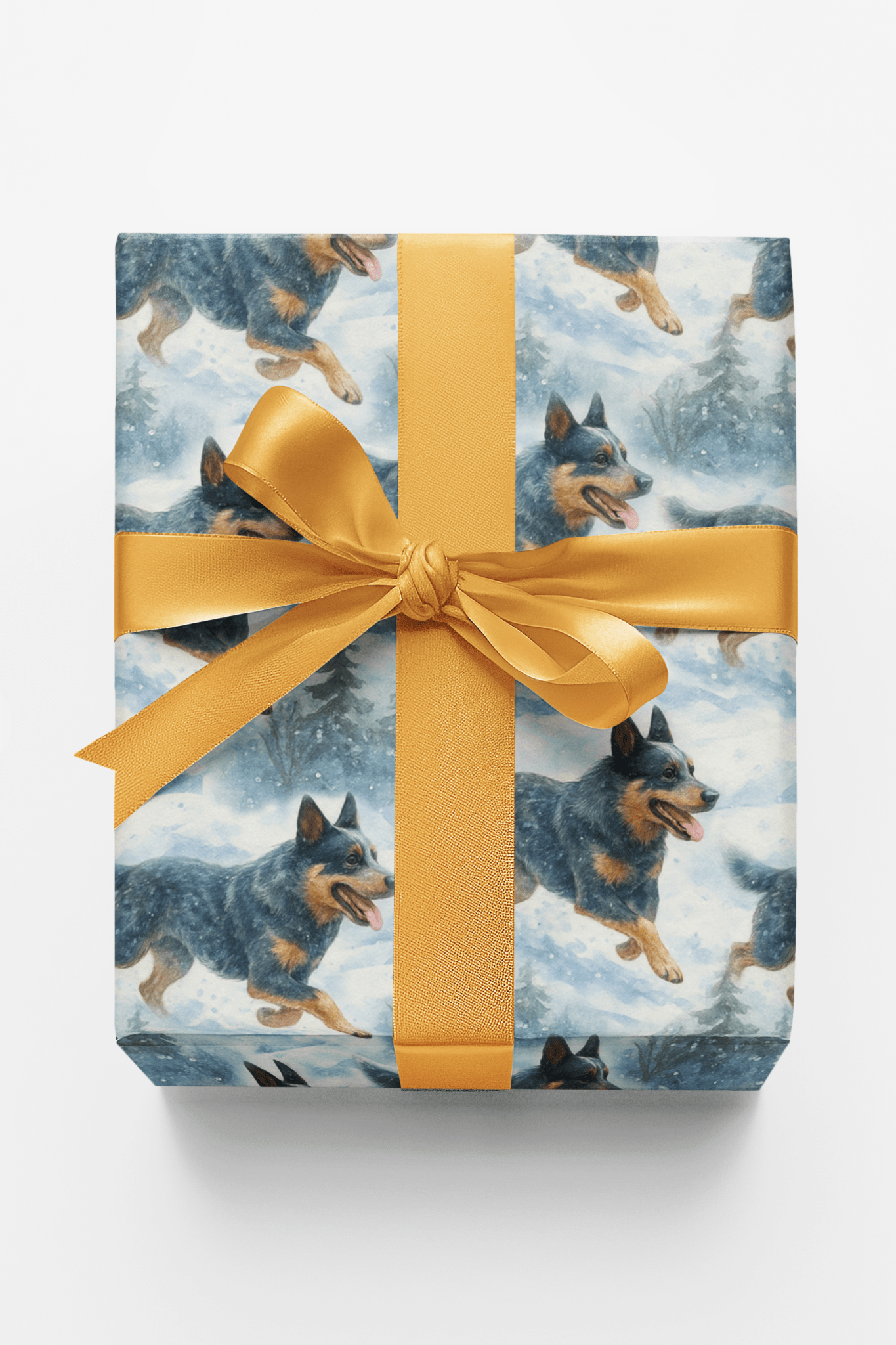 Holly Trails And Loyal Tails
