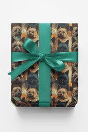 Terrier Tumbles & Joy
