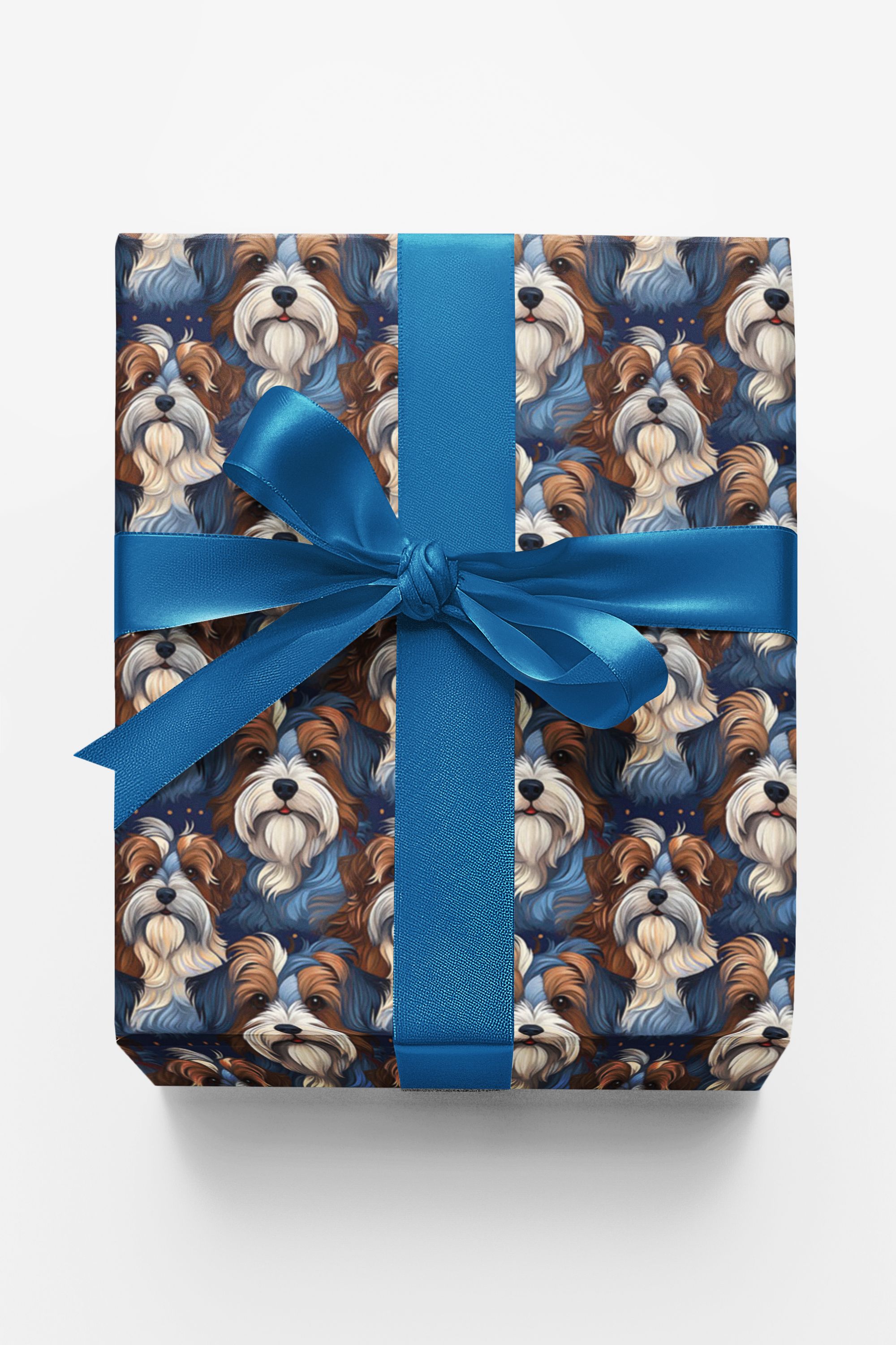 Biewer Terrier Grace