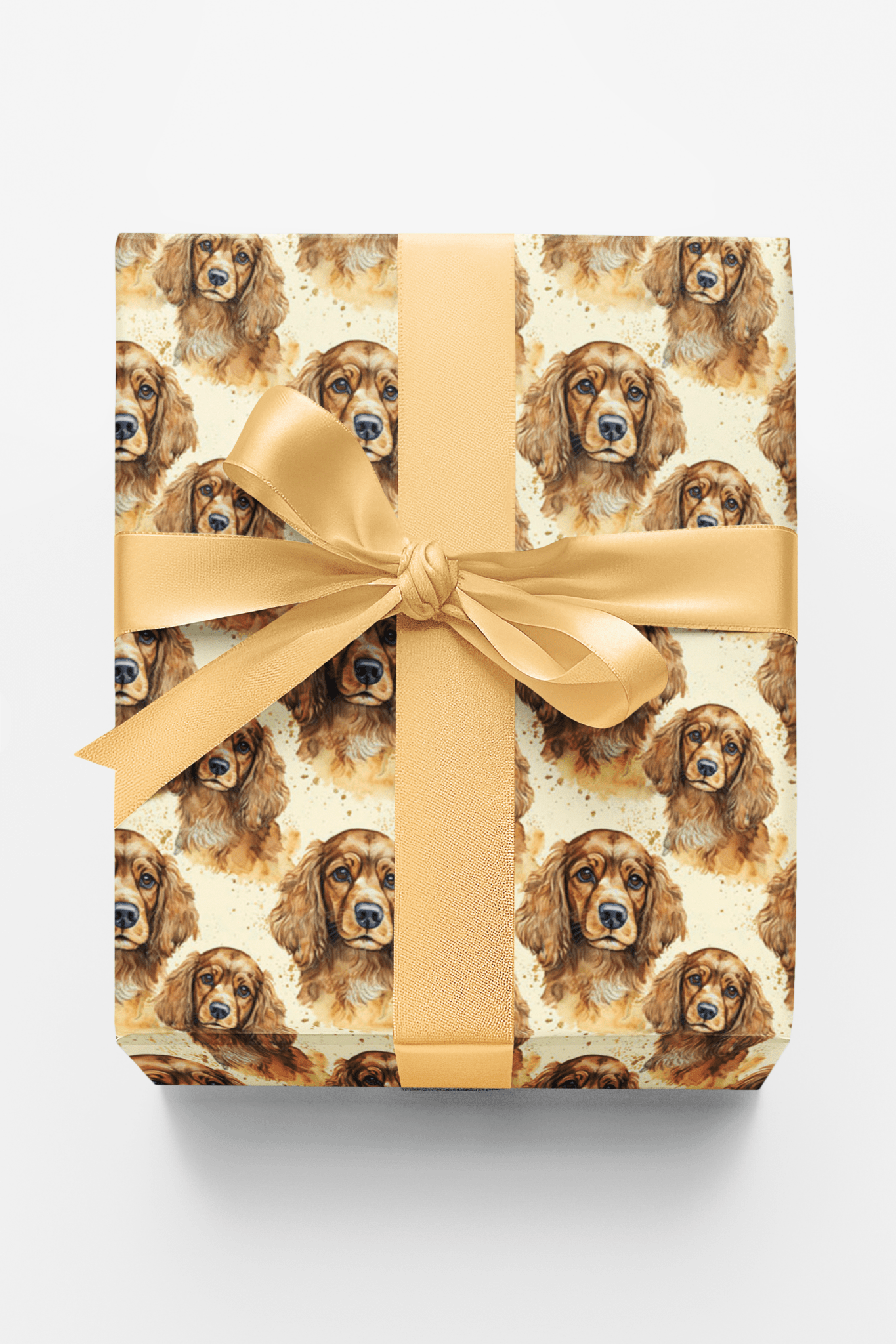 The Gentle Spaniel