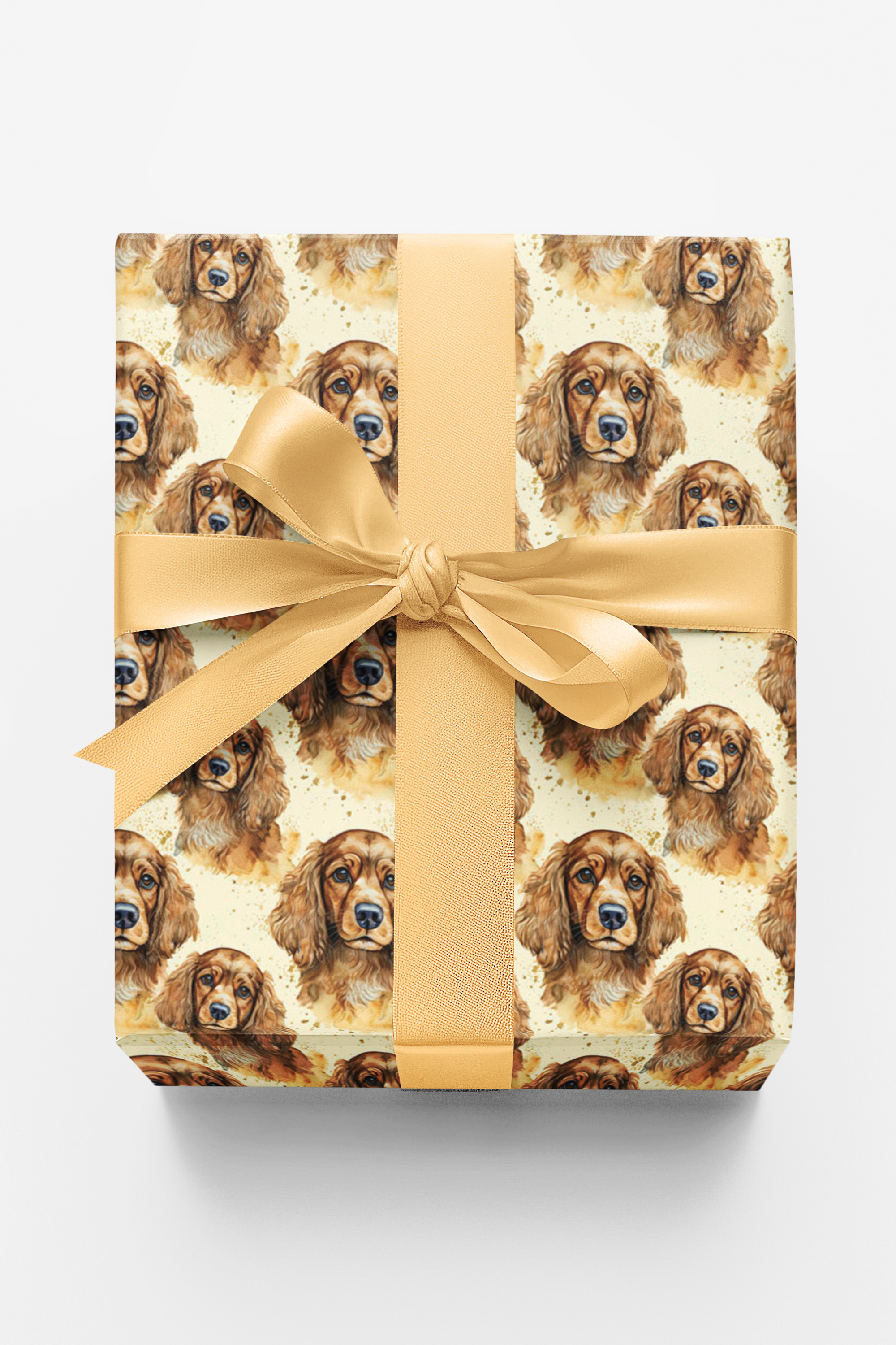 The Gentle Spaniel