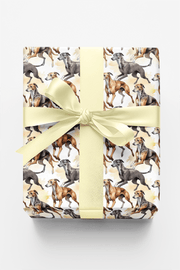 Speed & Grace – Greyhound