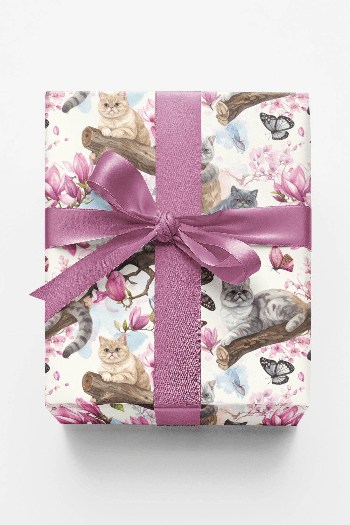 Spring Blossom Cats (exotic Shorthair) Wrapping Paper