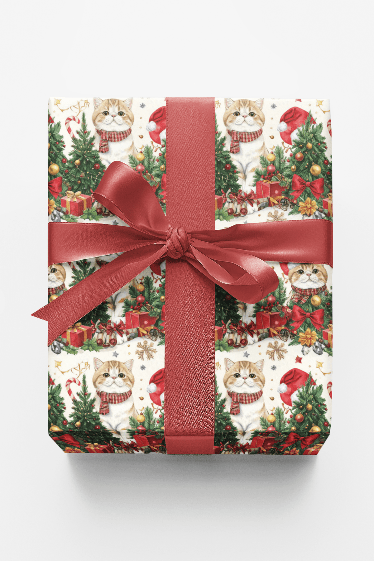 Holiday Exotic Shorthairs Wrapping Paper