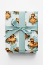 Ripples & Feathers
