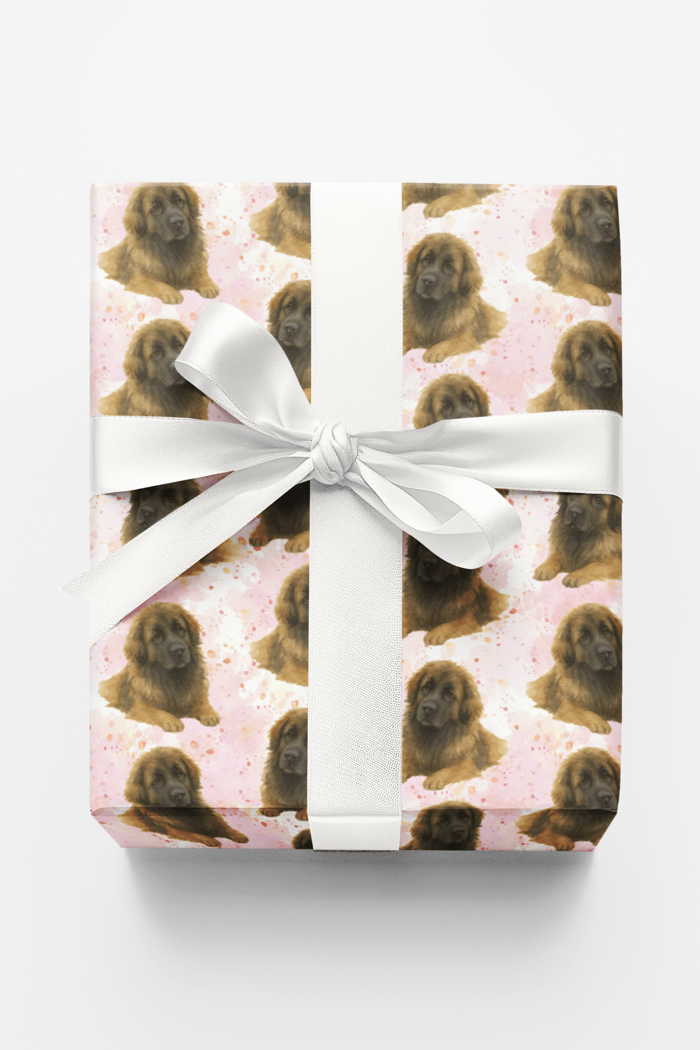 Pastel Paws
