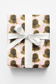 Pastel Paws