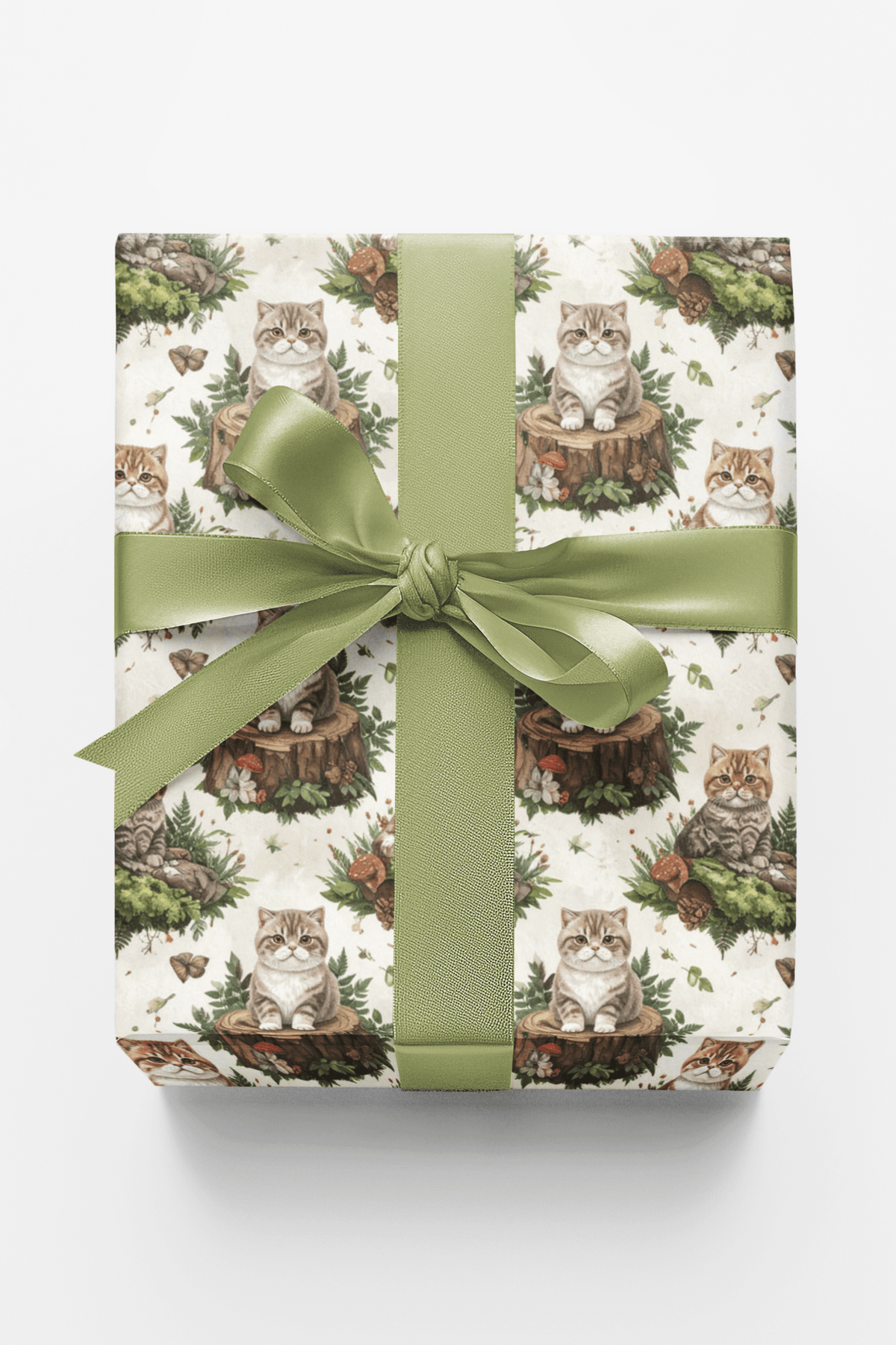 Enchanted Woodland (exotic Shorthair) Wrapping Paper