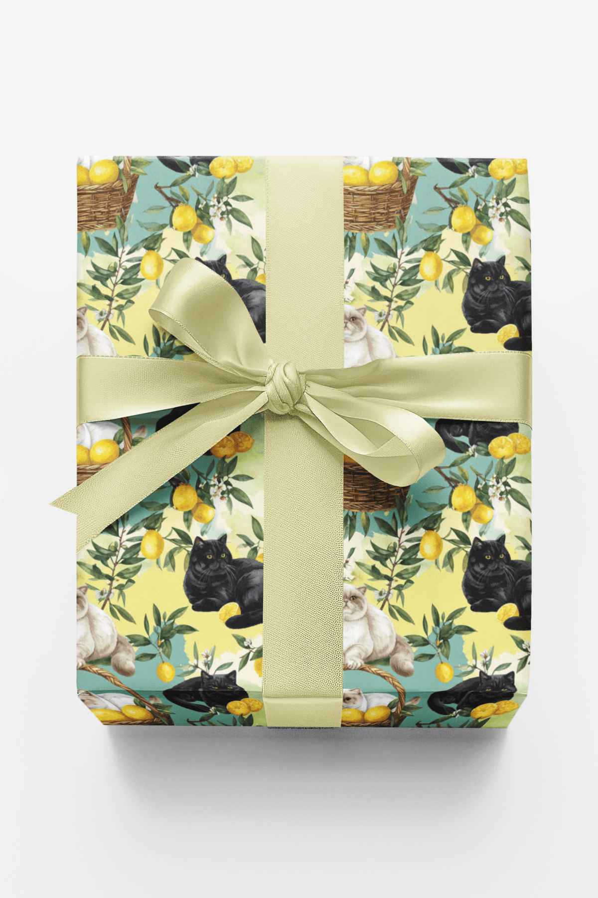 Lemon Orchard Cats (exotic Shorthair) Wrapping Paper