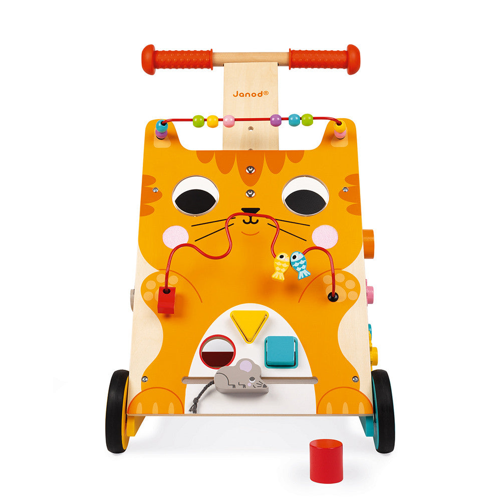 Multi-activities Cat Baby Walker