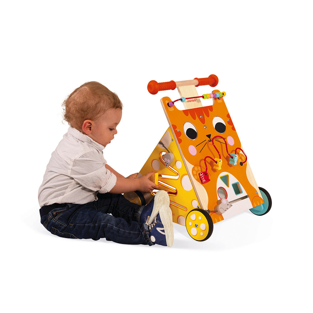 Multi-activities Cat Baby Walker