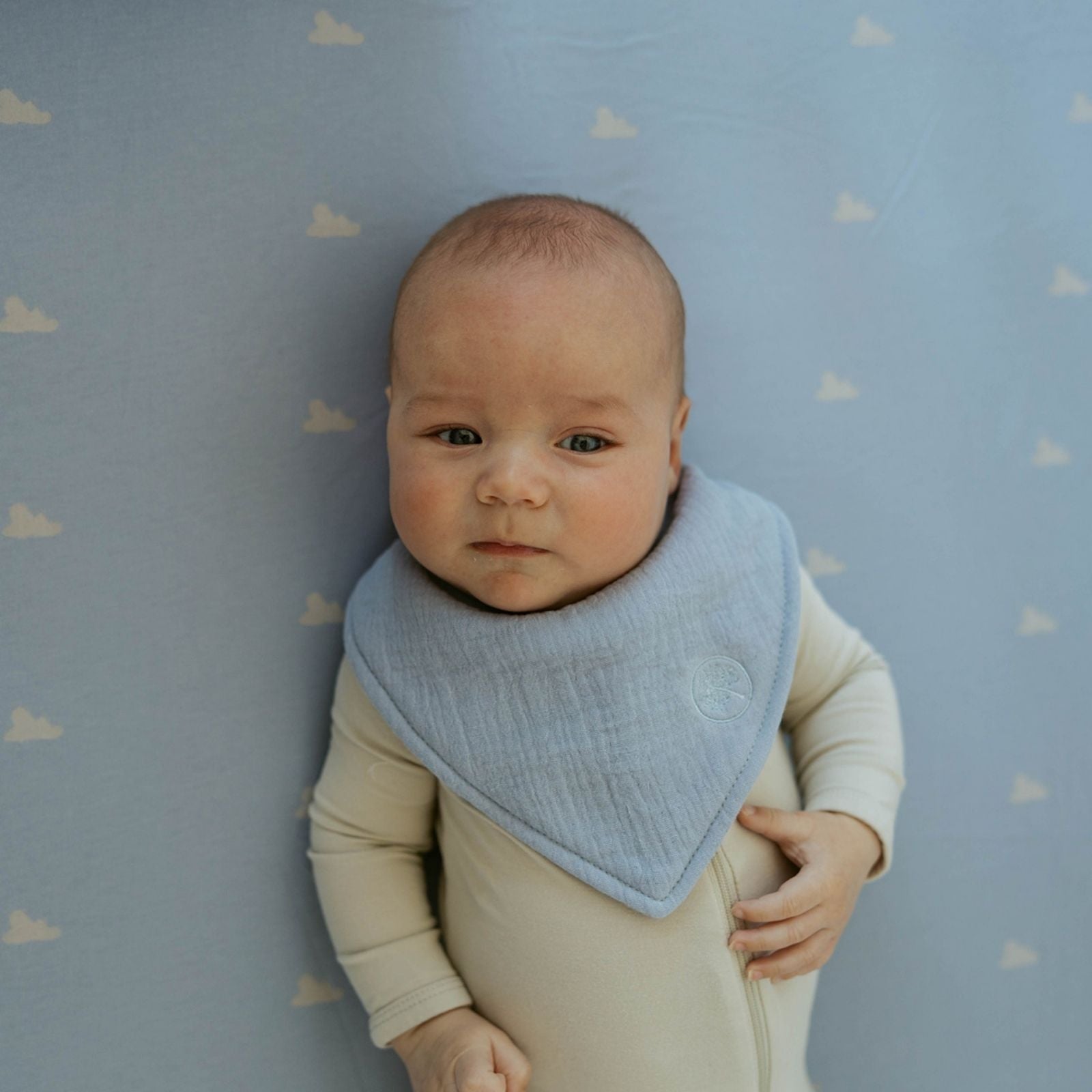 Stormy Muslin Bandana Bibs Set (4-pack)