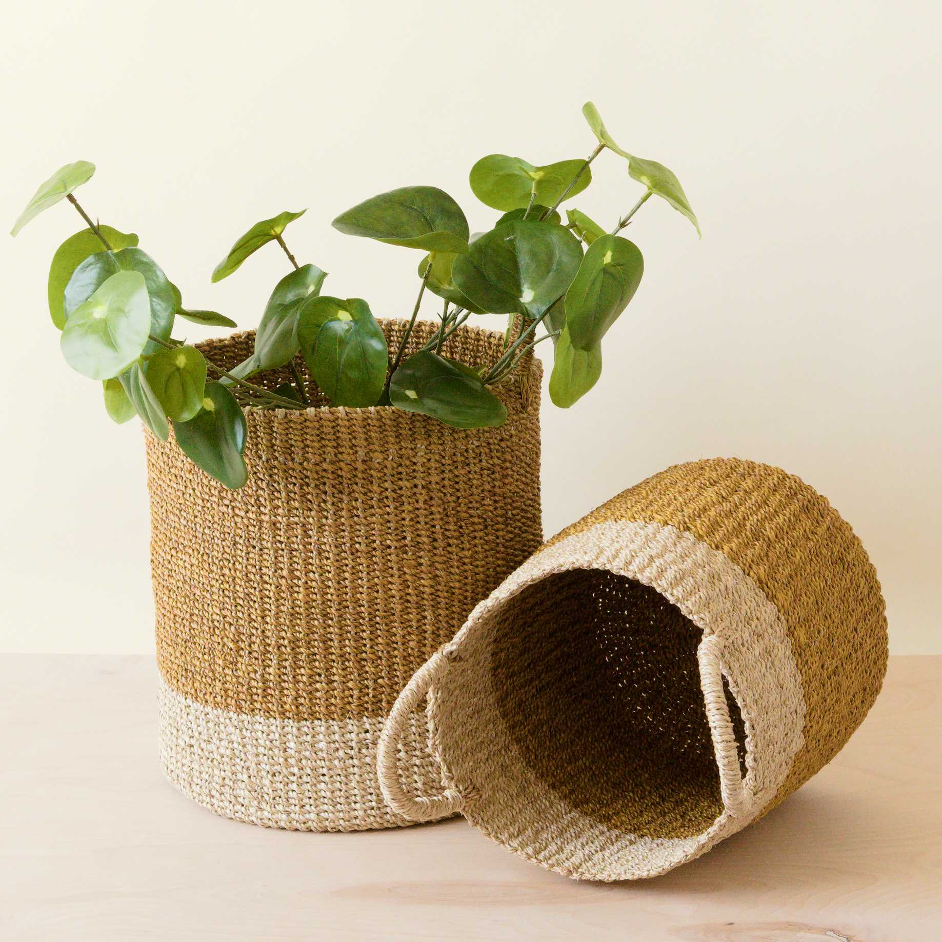 Mustard Baskets With Handle, Set Of 2 - Cylinder Baskets | Likhâ