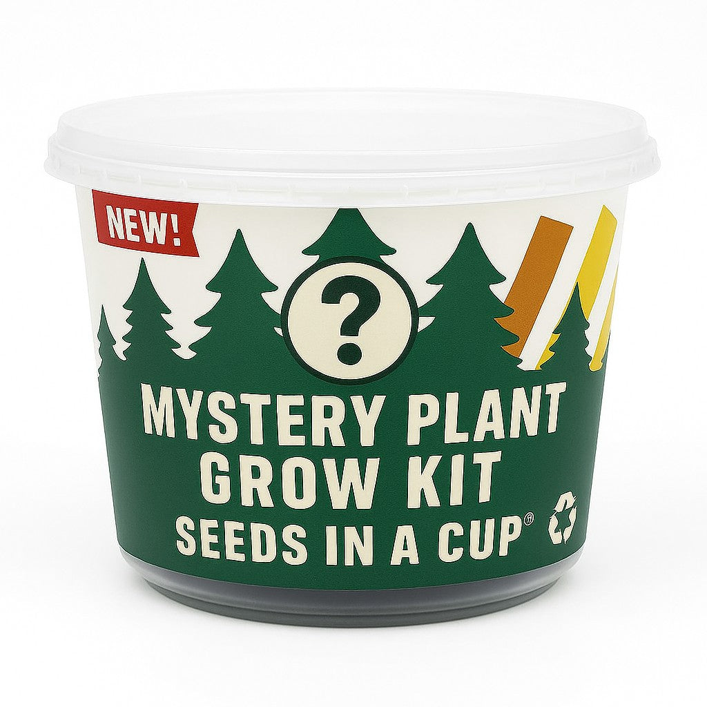 Mystery Plant Grow Kit: Surprise Plant  - We Pick, You Grow!