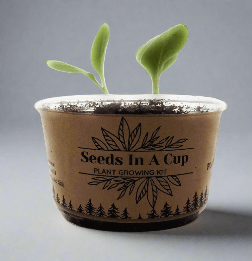Concord Grape  | Vine Seed Starter Grow Kit |
