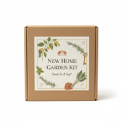 New Home Garden Kit | Money Plant, Rosemary, Basil & Sage |