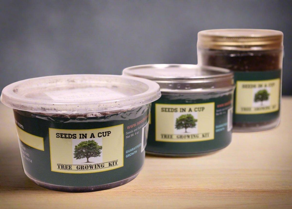 Concord Grape  | Vine Seed Starter Grow Kit |