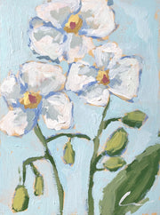 Orchids 1 Print