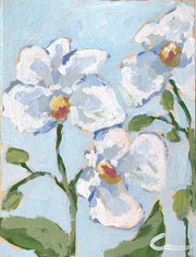 Orchids 2 Print