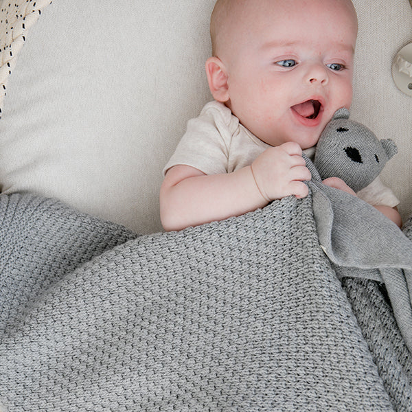 Honey Bee Organic Cotton Baby Blanket And Teddy Lovie Set
