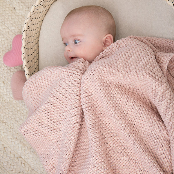 Honey Bee Organic Cotton Baby Blanket And Teddy Lovie Set