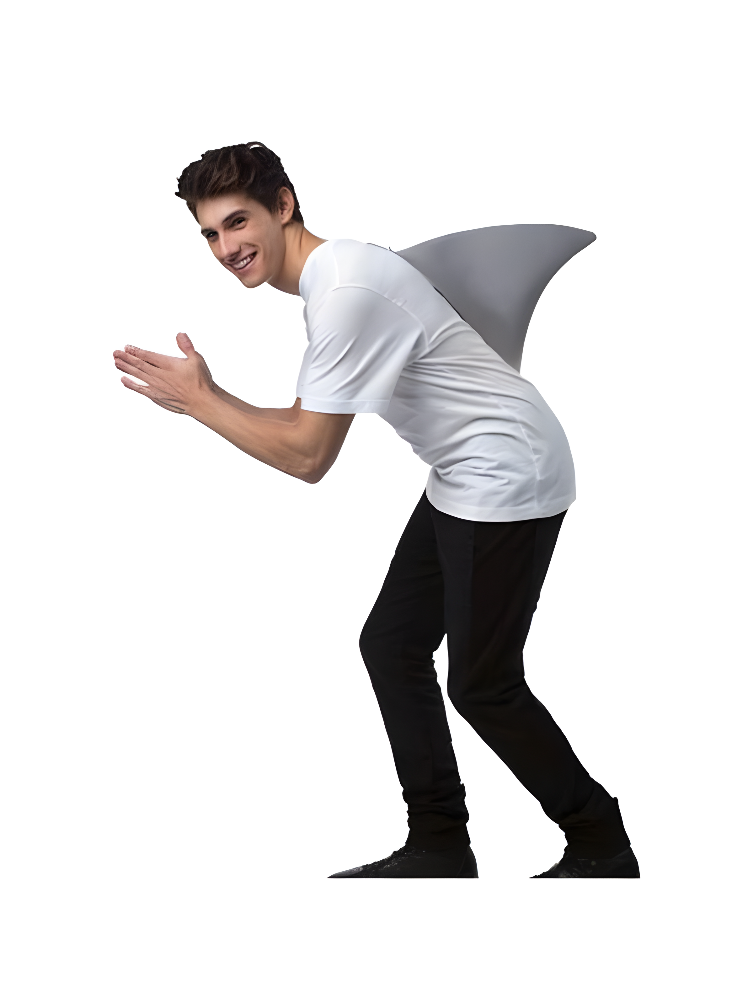 Shark Shark Fin W/pins