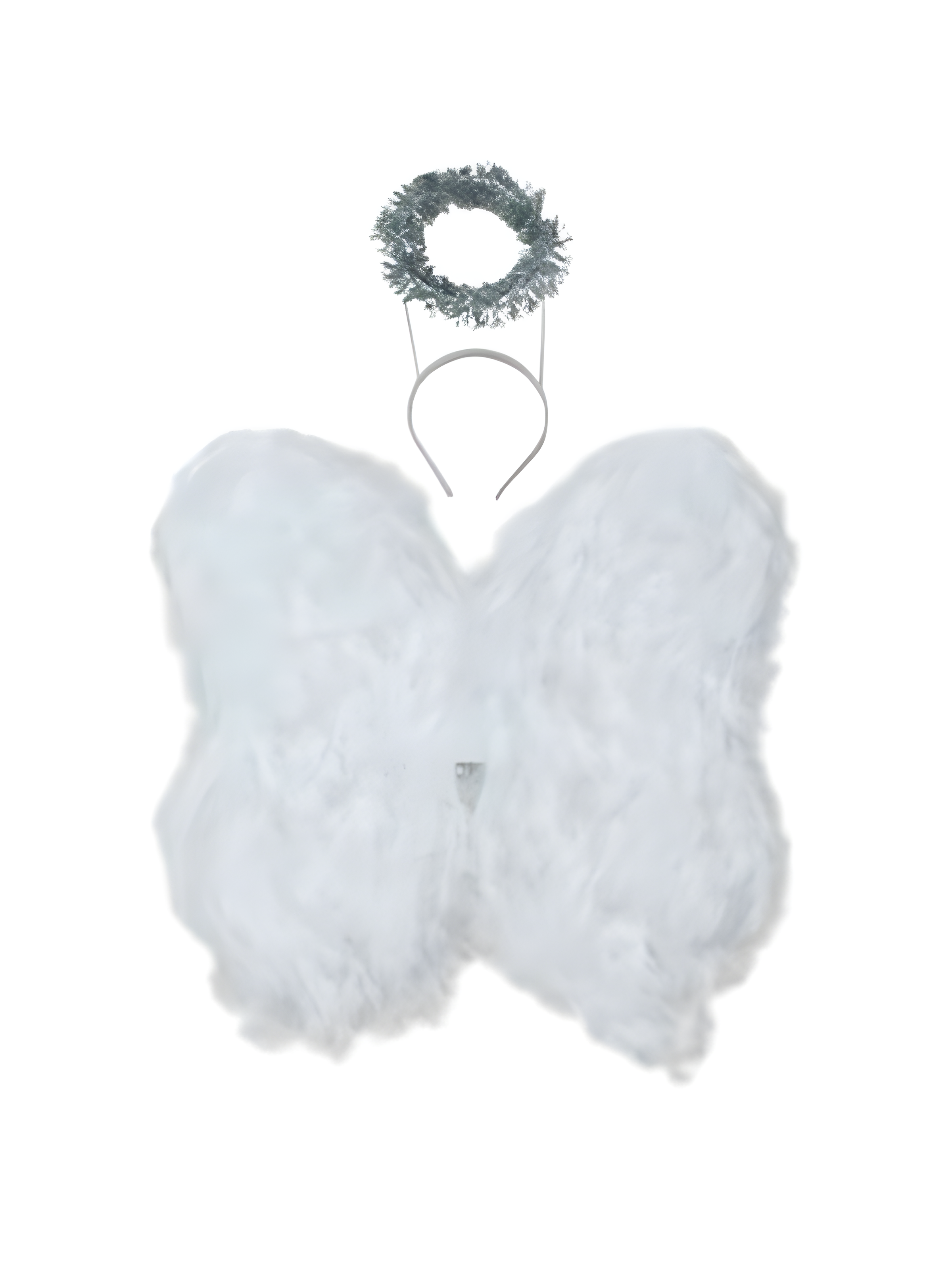 Feather Angel Wings With Halo