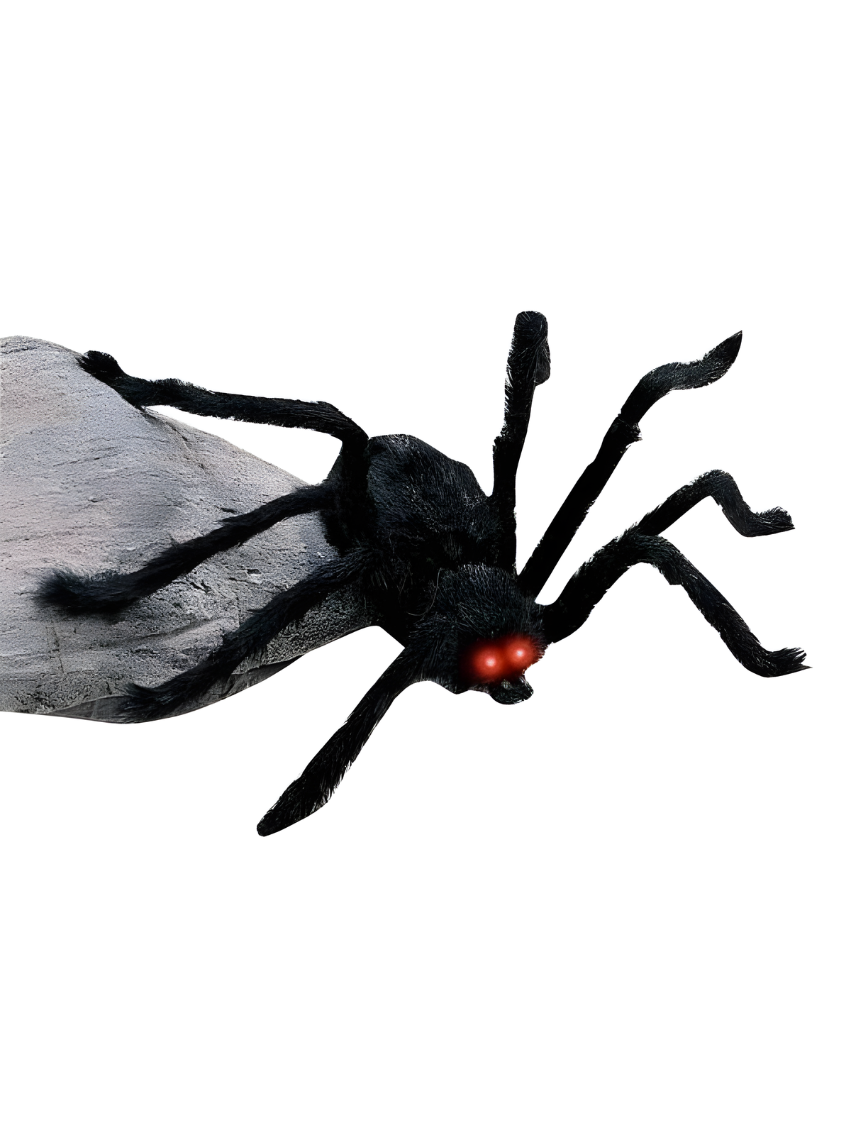 Medium Light-up Furry Black Spider