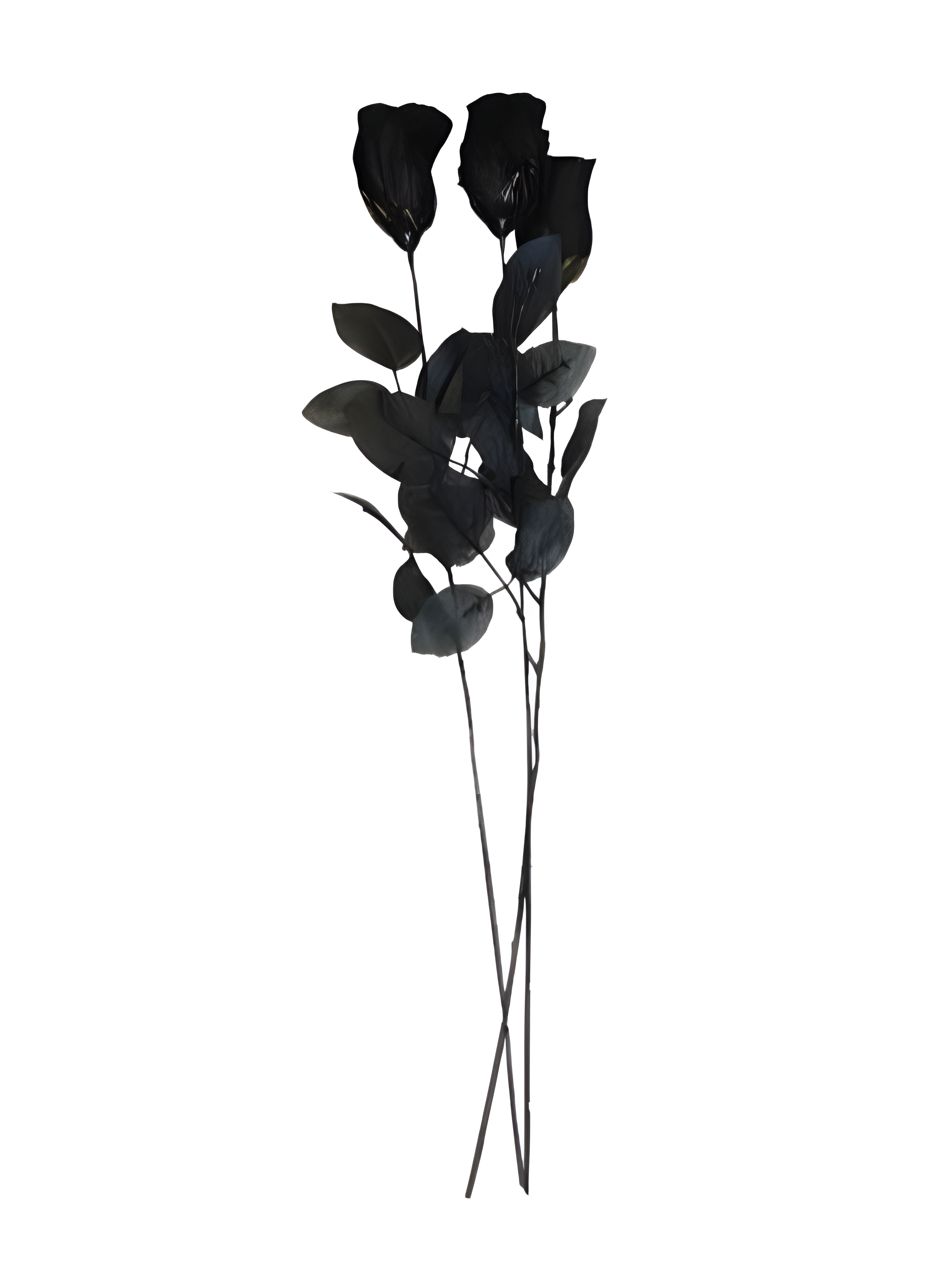 Long Black Rose