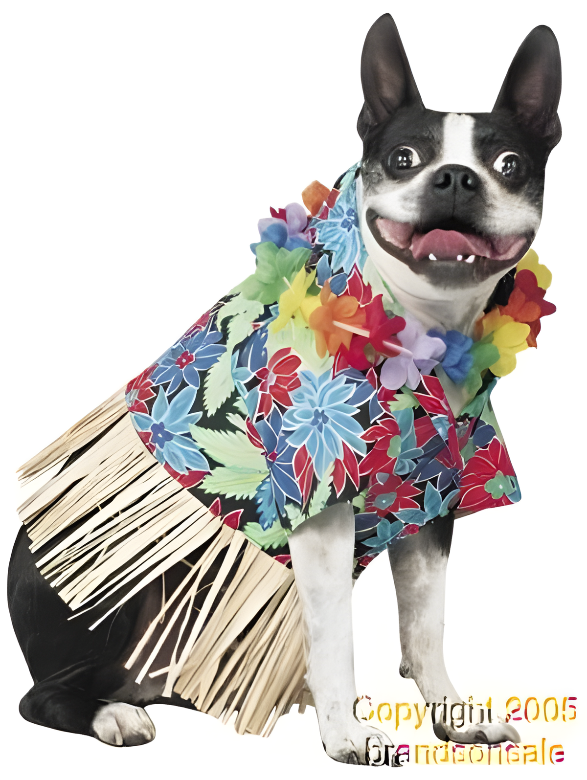 Tiki Fun Dog Costume