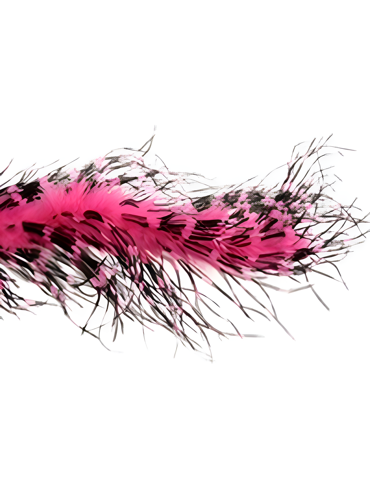 Pink/black Ostrich Feather Boa