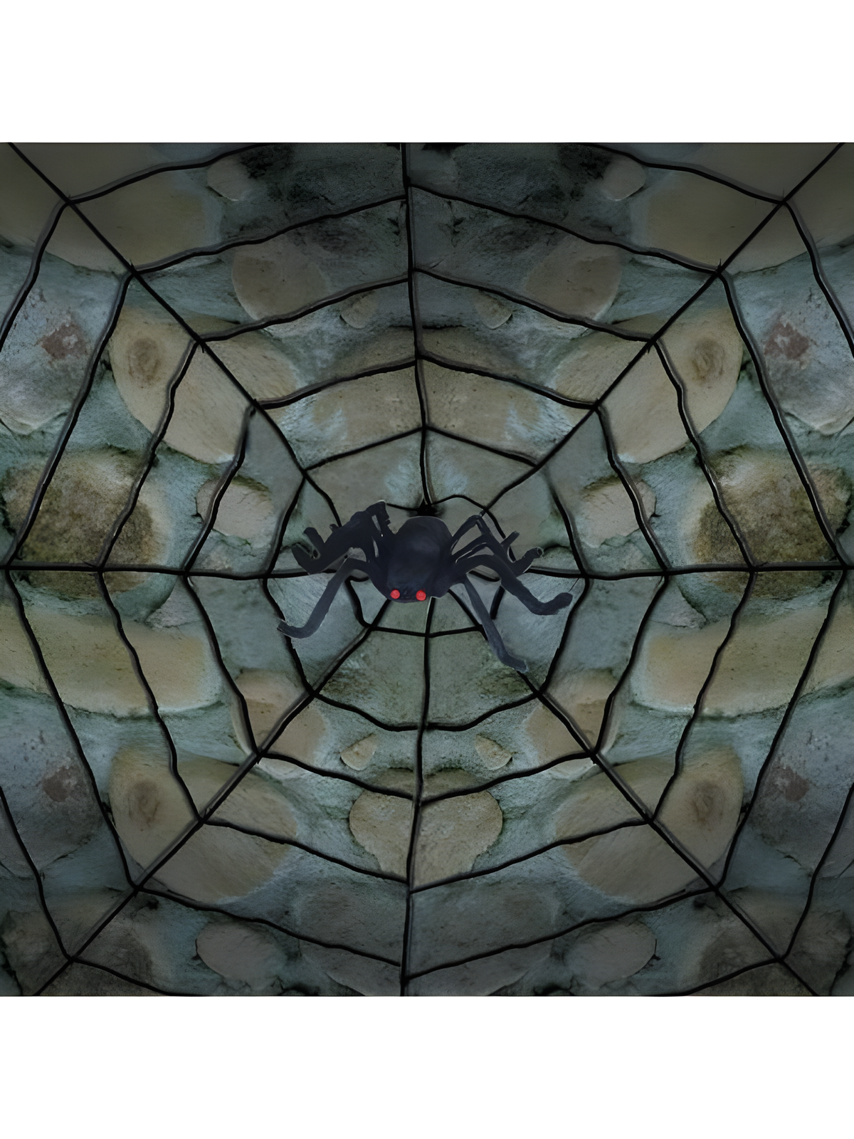 Spiderweb With Spider Prop