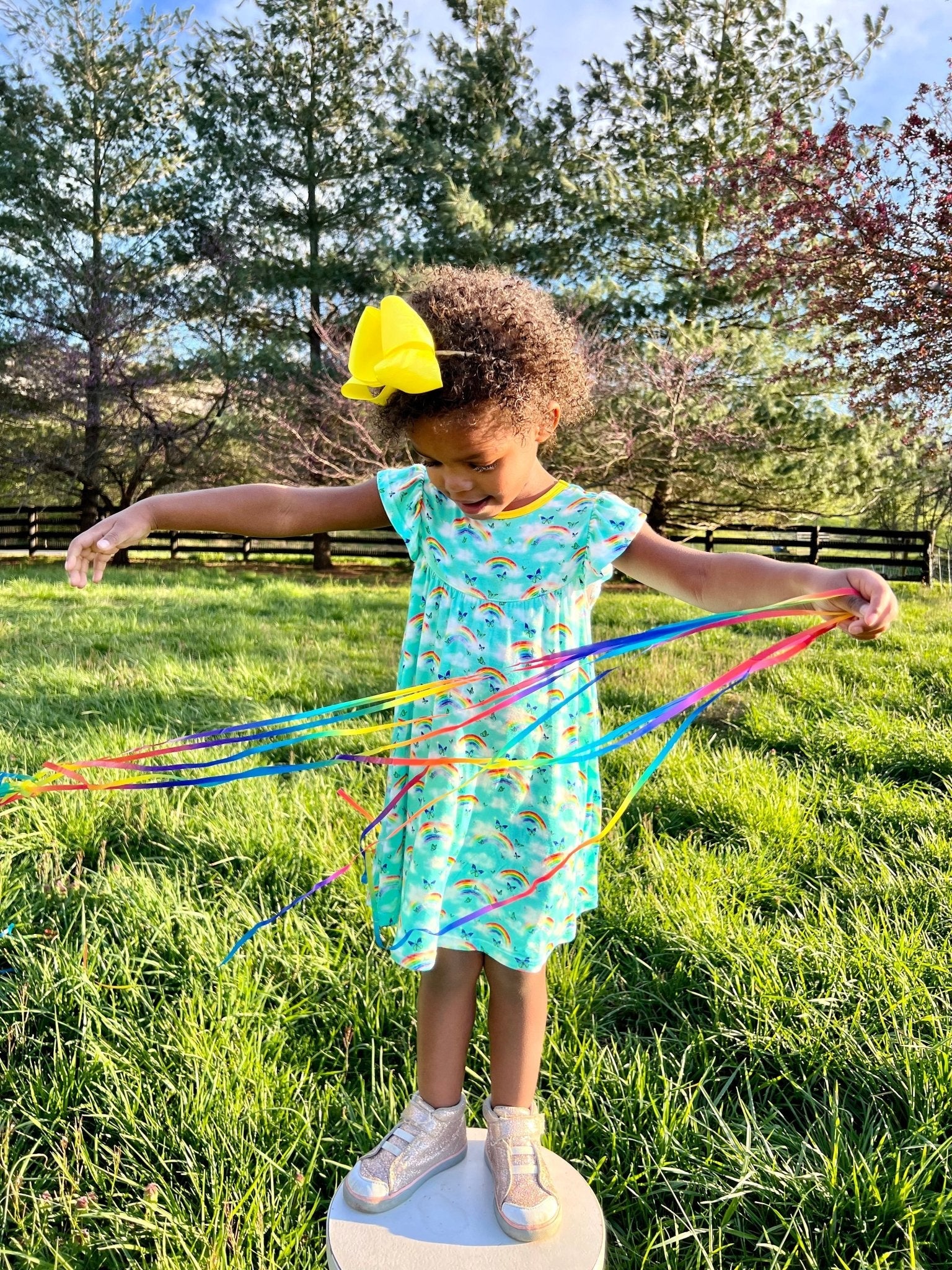 Over The Rainbow & Butterflies Twirling Dress (2t-6y)