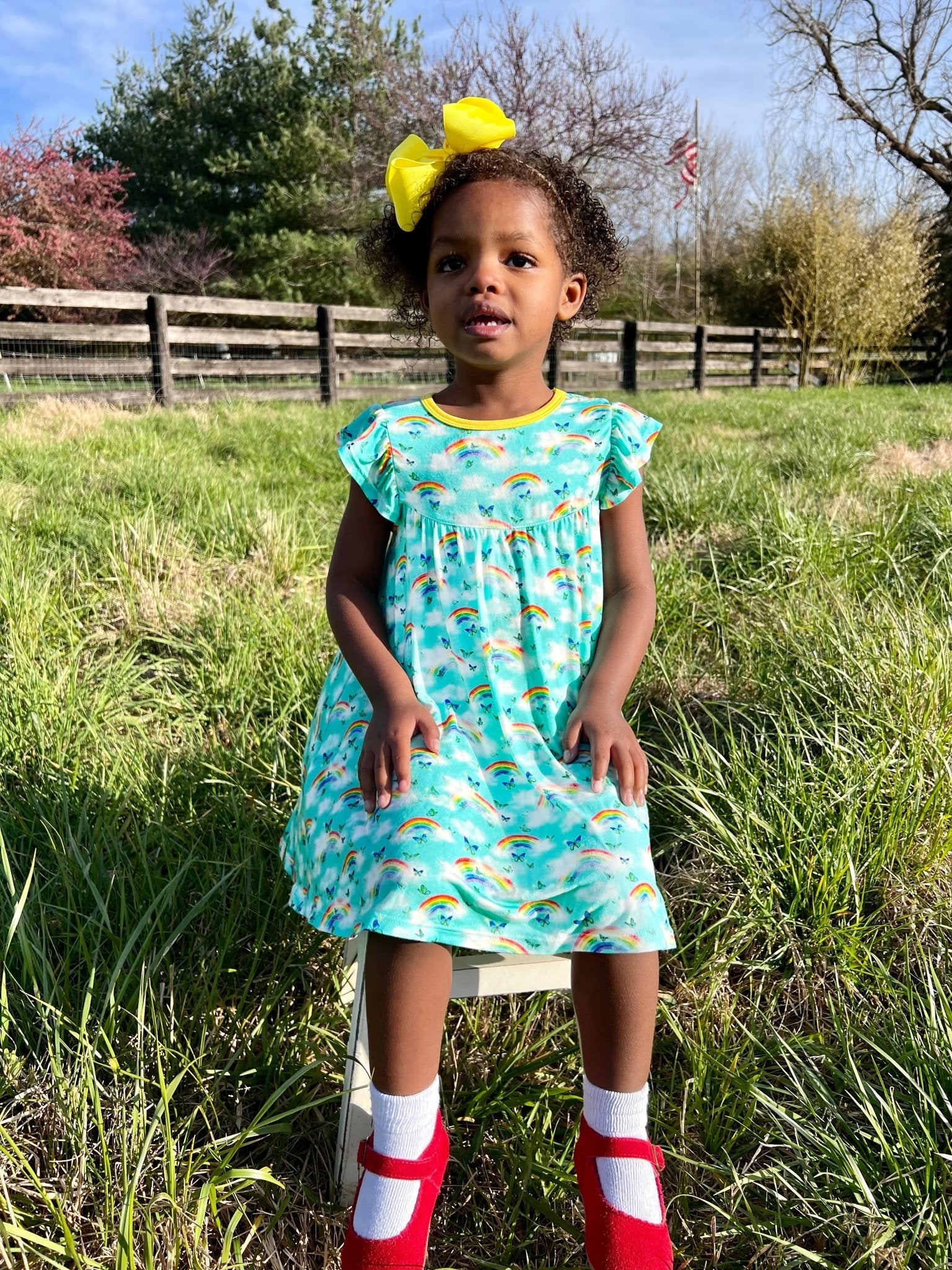 Over The Rainbow & Butterflies Twirling Dress (2t-6y)