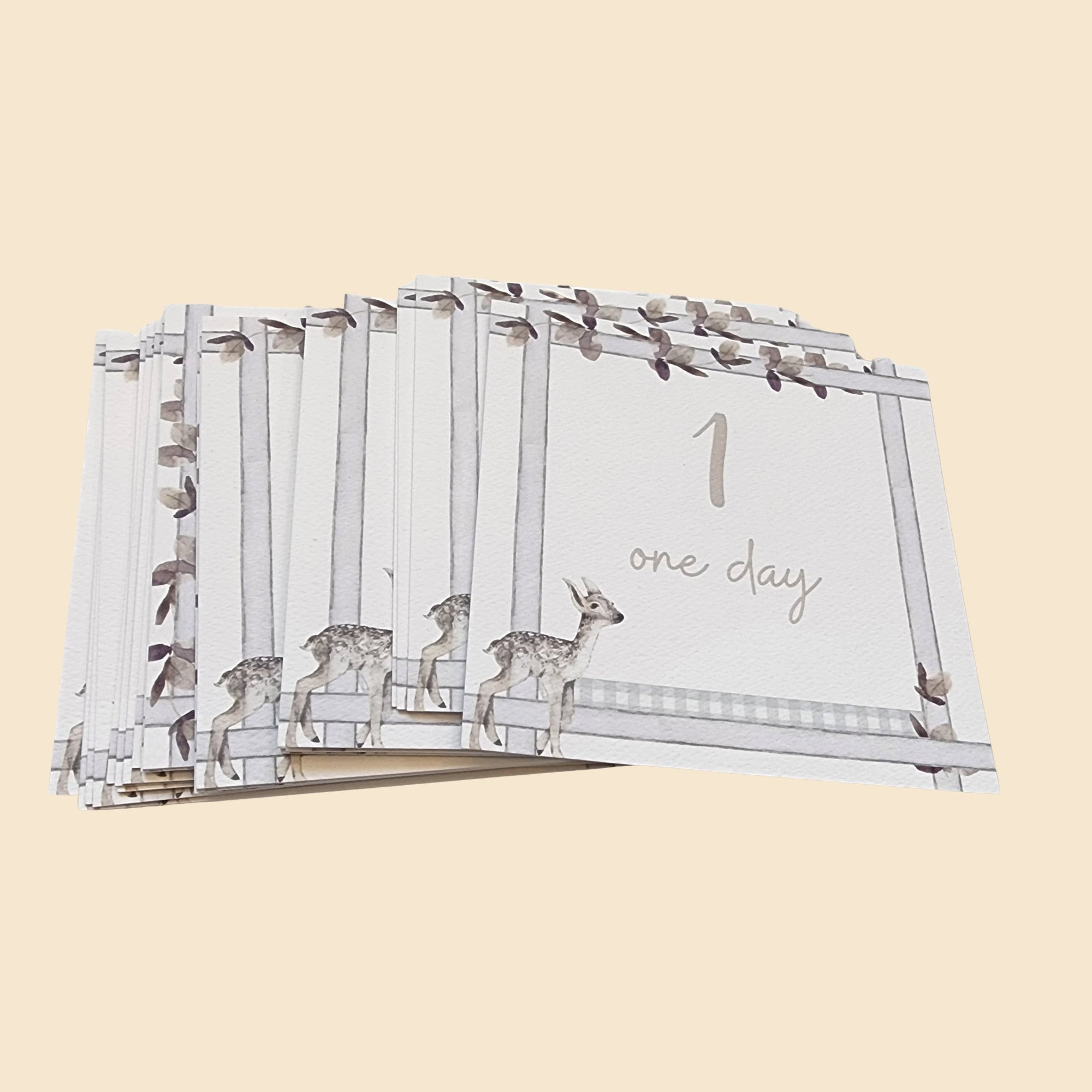 Infant Milestone + Memory Cards (0-12 Months)