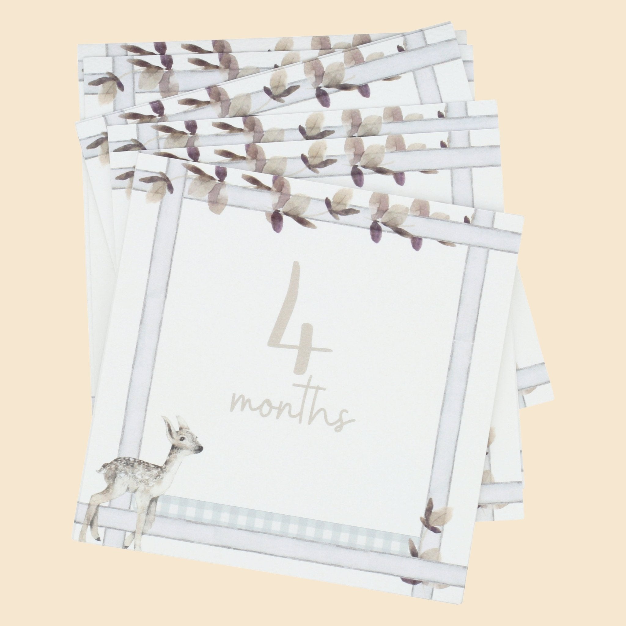 Infant Milestone + Memory Cards (0-12 Months)