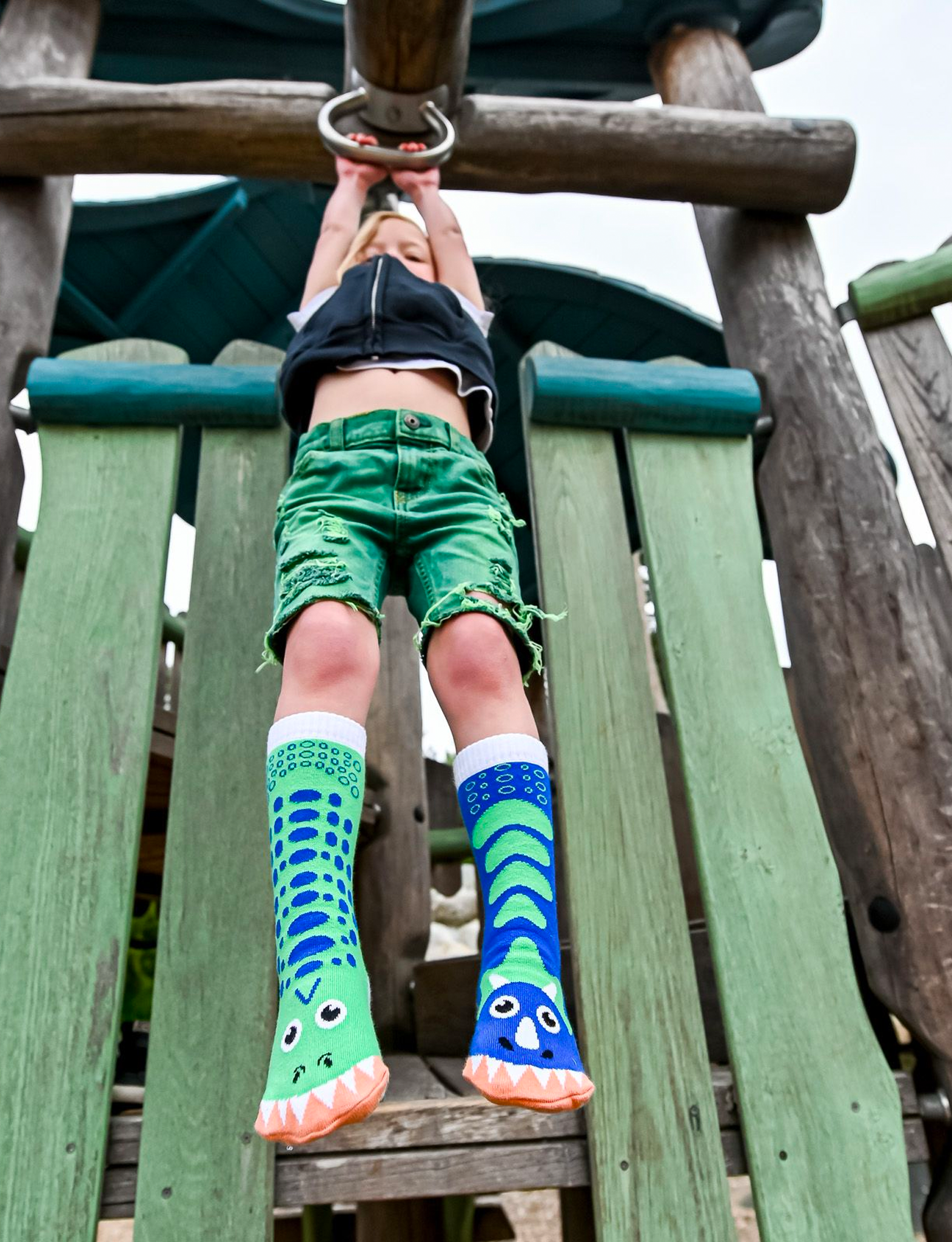 T-rex & Triceratops Socks