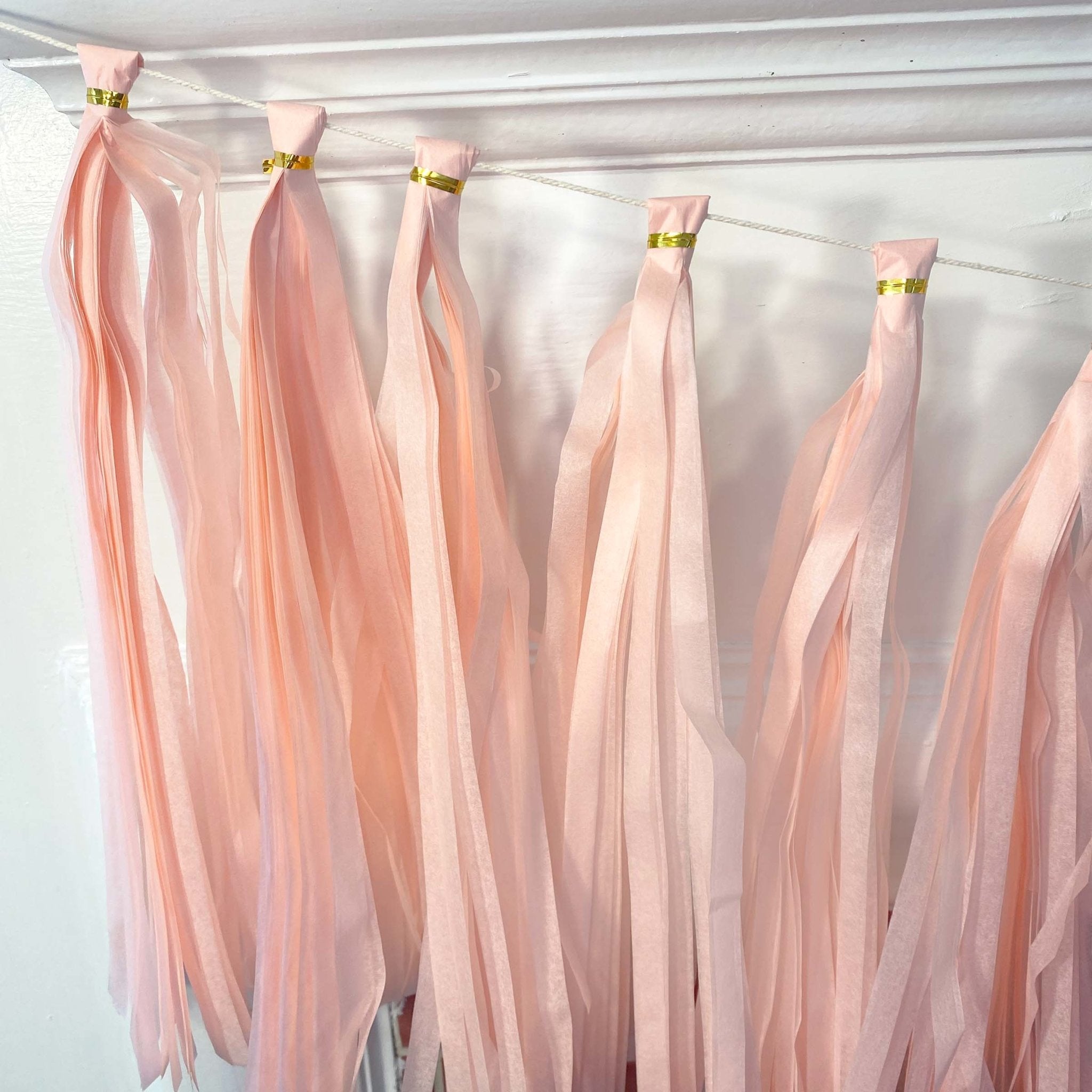 Pink Tassel Tail