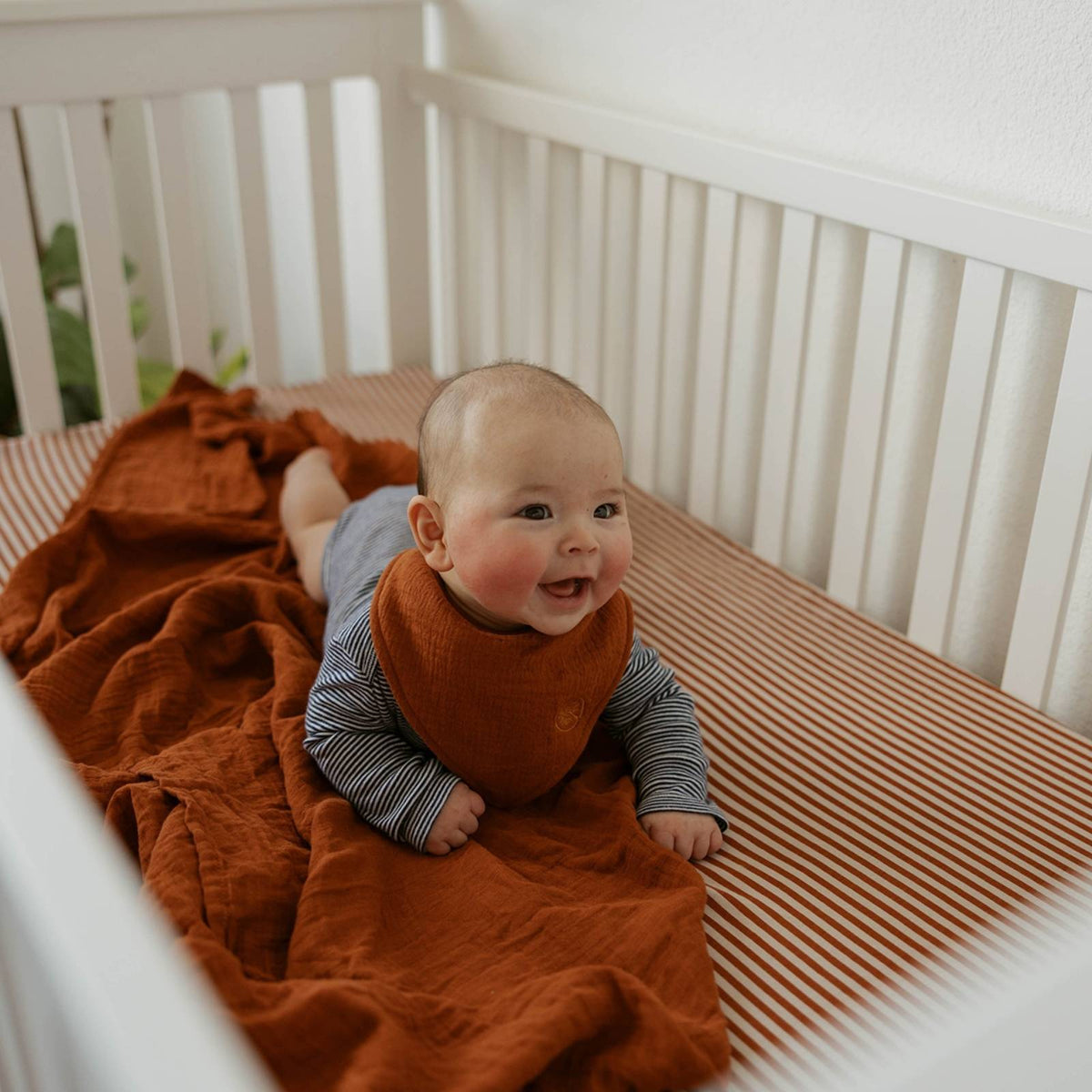 Pebble Muslin Bandana Bibs Set (4-pack)