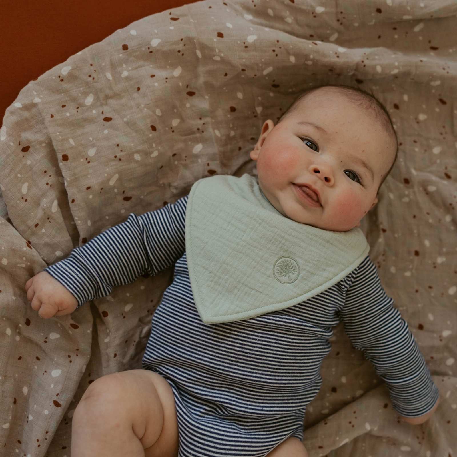 Pebble Muslin Bandana Bibs Set (4-pack)