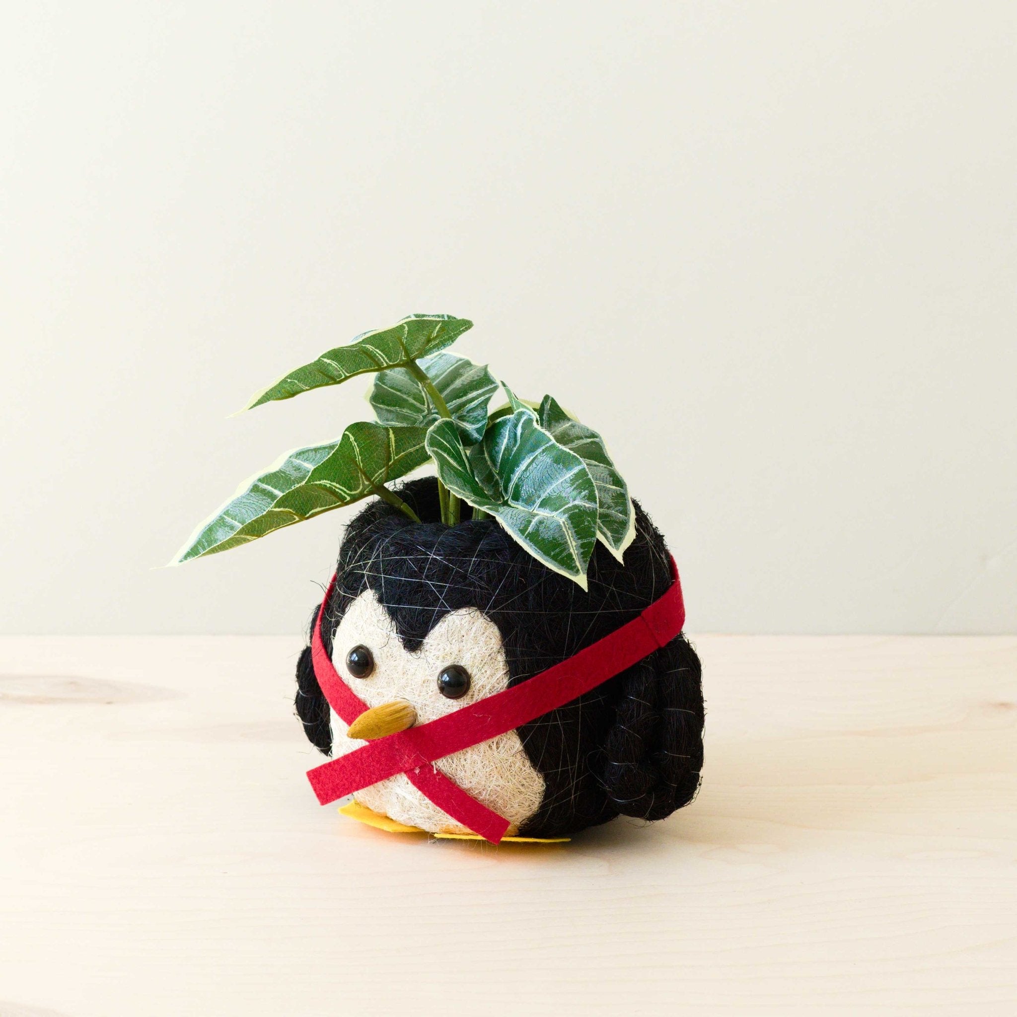 Penguin Planter - Coco Coir Pot | Likhâ