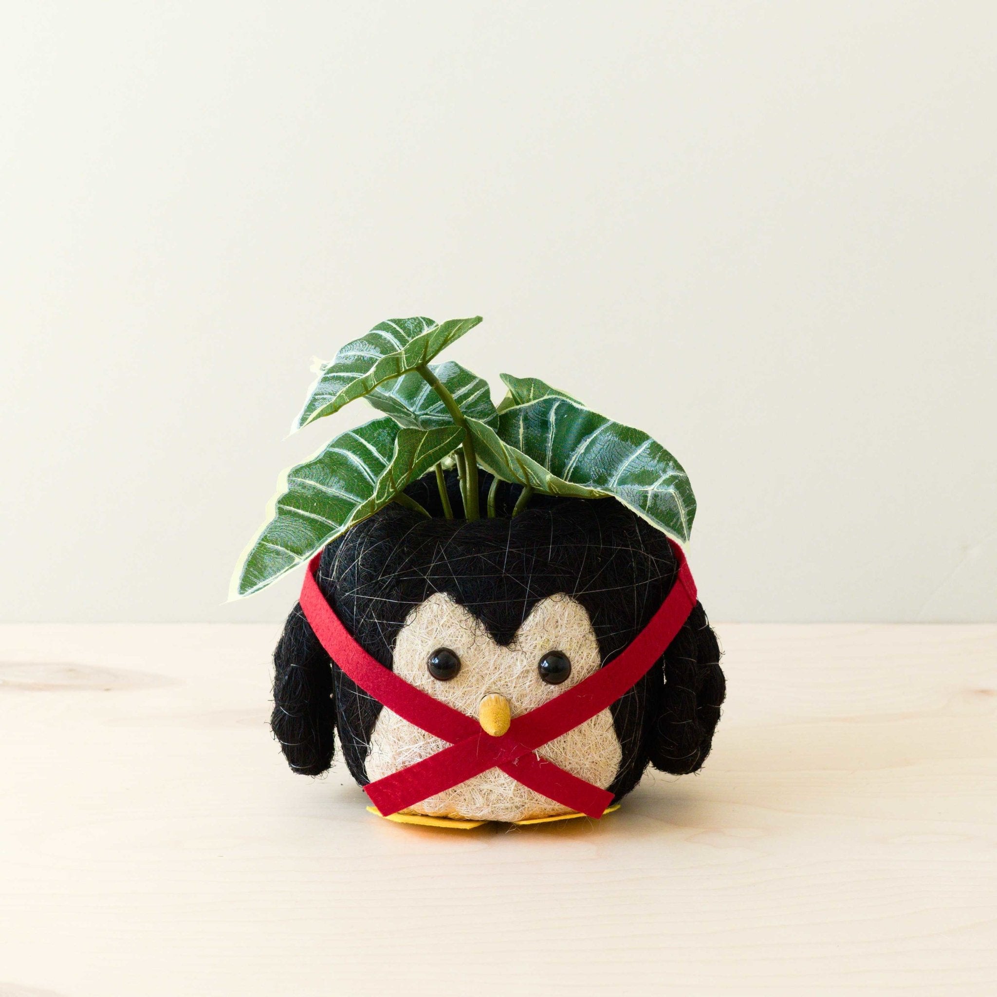 Penguin Planter - Coco Coir Pot | Likhâ