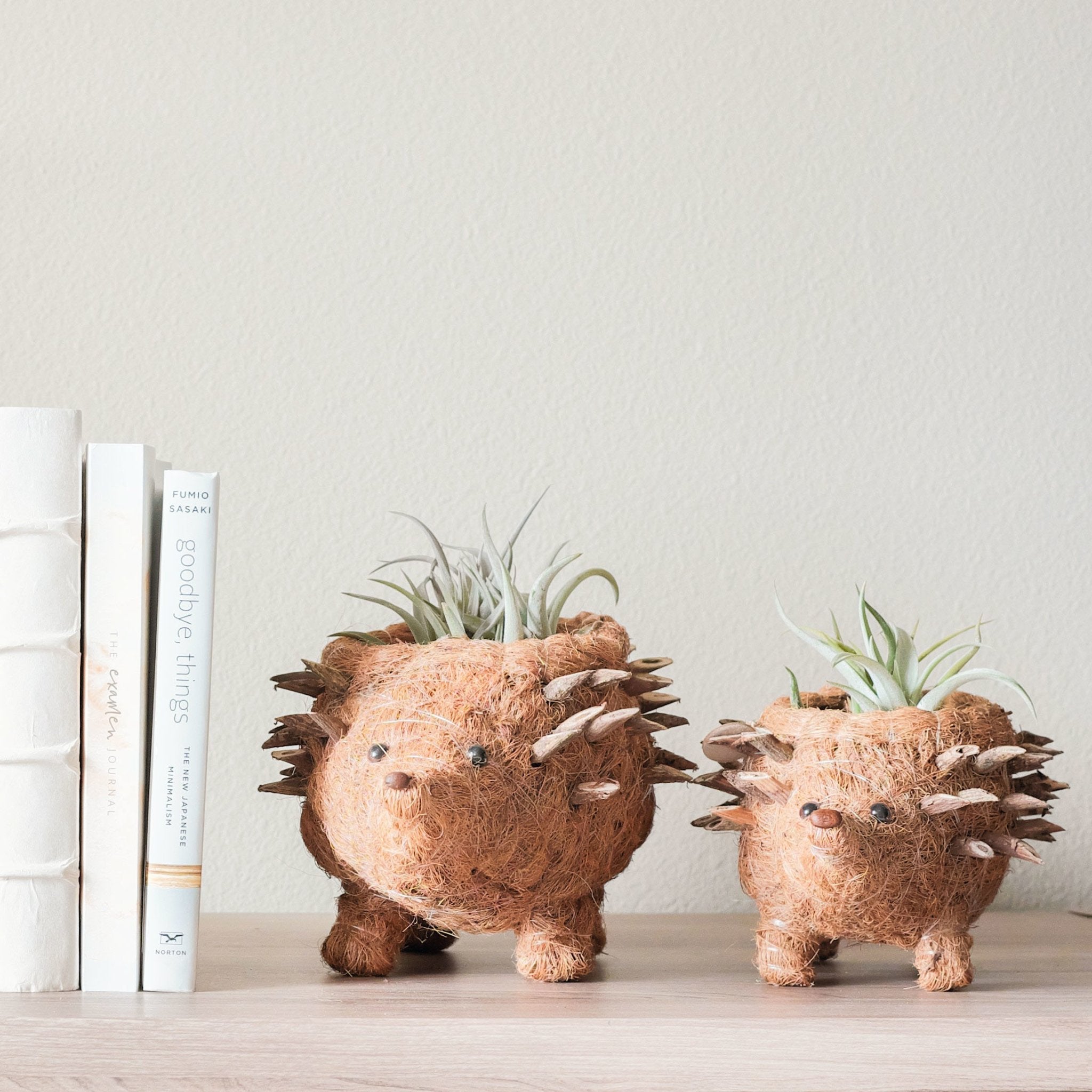 Baby Hedgehog Plant Pot - Handmade Planters | Likhâ