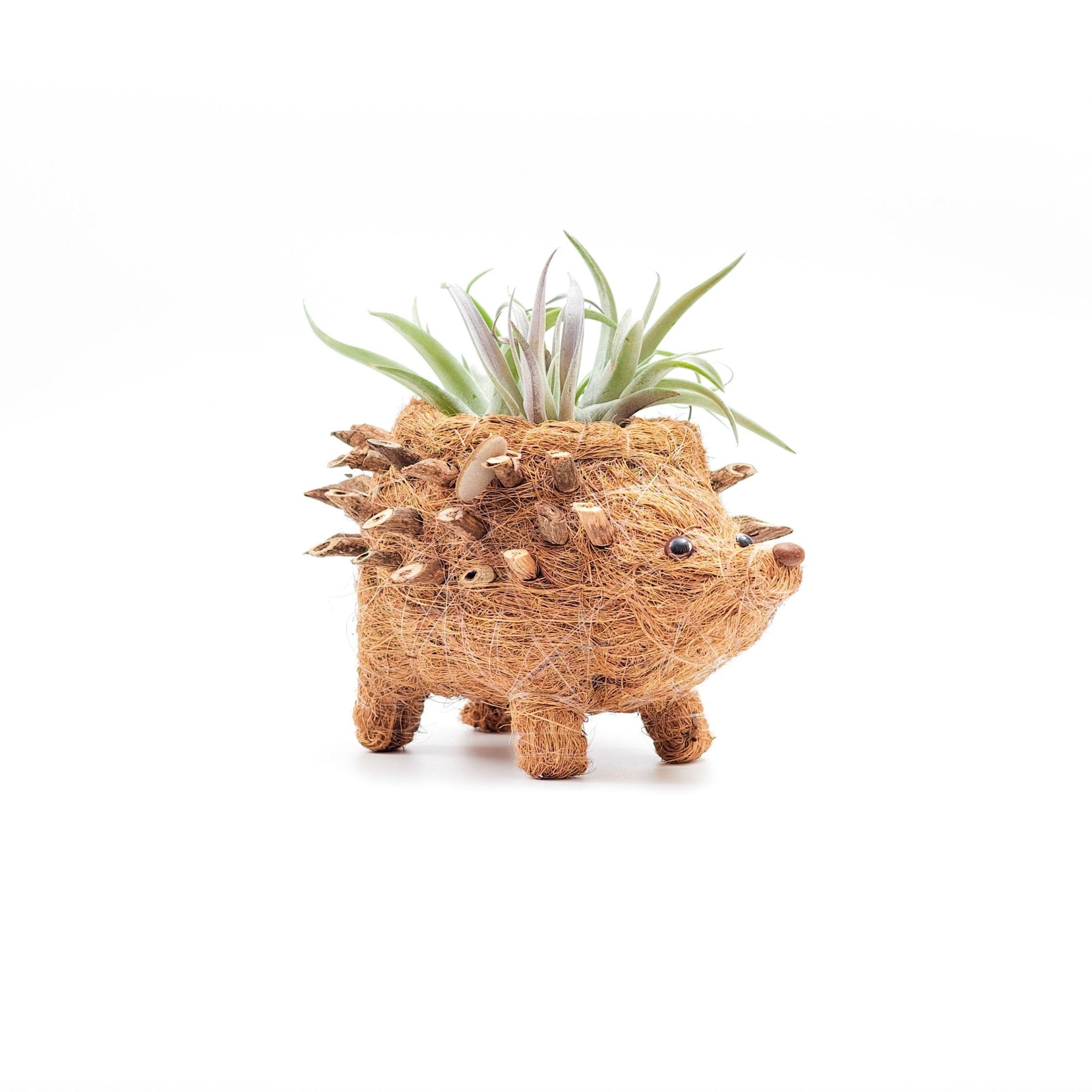 Baby Hedgehog Plant Pot - Handmade Planters | Likhâ