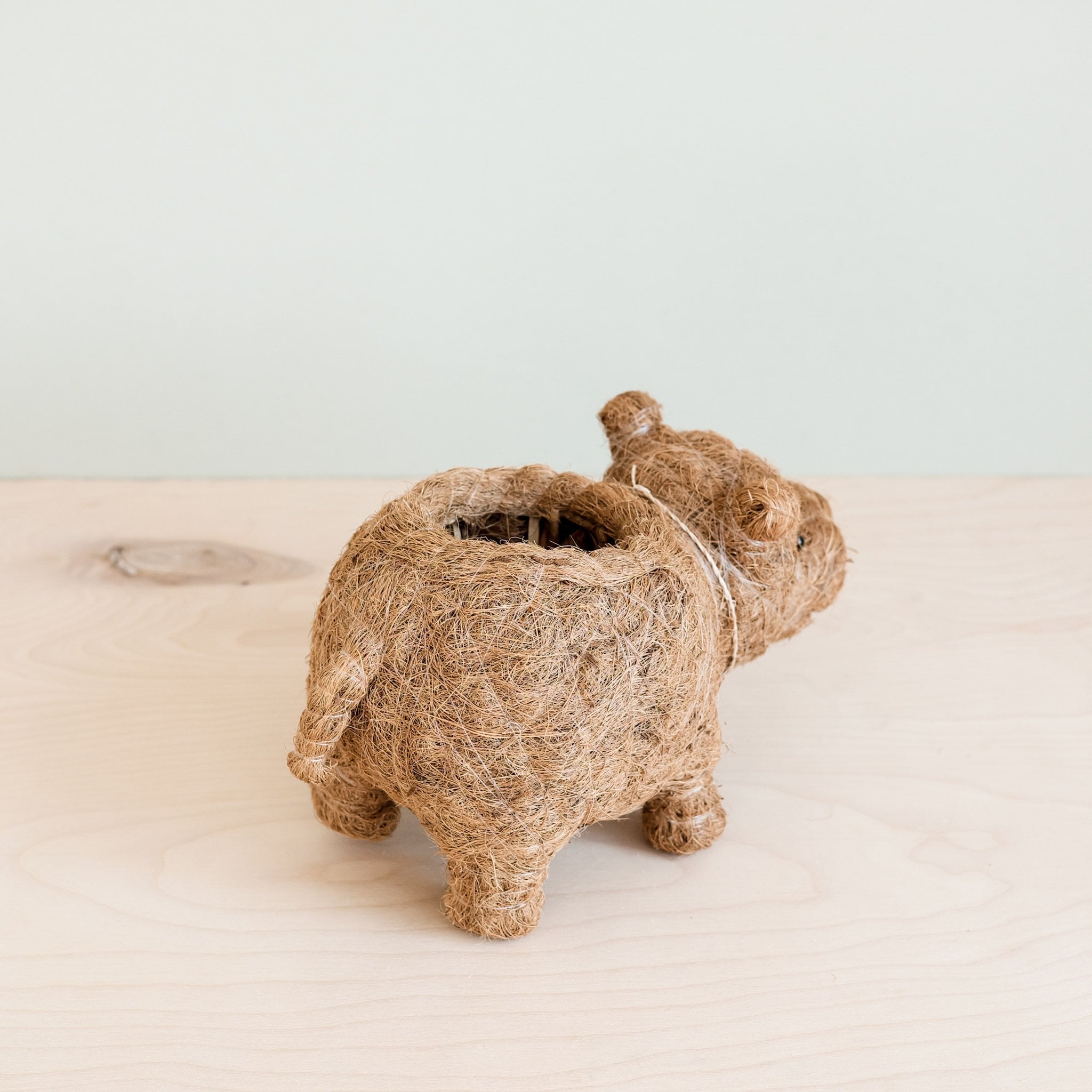 Baby Hippo Plant Pot - Handmade Pots | Likhâ