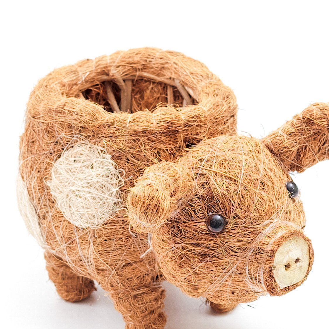 Baby Pig Succulent Pot - Handmade Planters | Likhâ