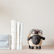 Baby Sheep Planter - Coco Coir Pots | Likhâ