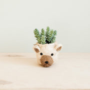 Bear Planter - Animal Head Planters | Likhâ